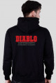 Diablo Hoodie Baseball style
