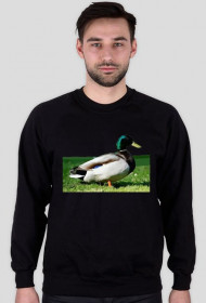Bluza bez kaptura ,#1 duck in the world