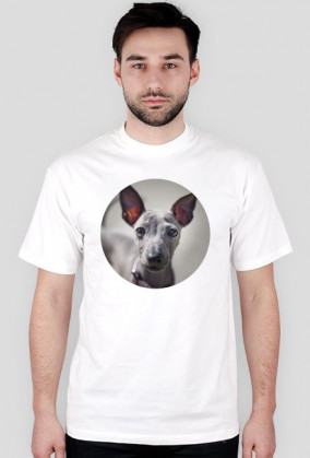 koszulka z puszystym