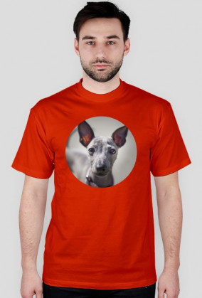 koszulka z puszystym