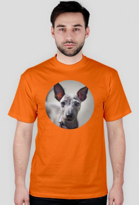 koszulka z puszystym