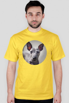 koszulka z puszystym