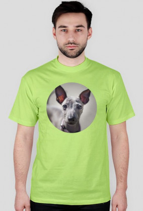 koszulka z puszystym