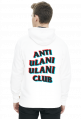 HOOD_3D_CLASS_ANTI