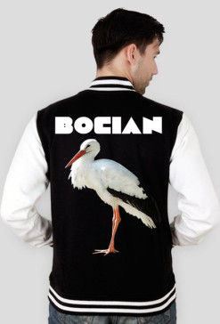 bocian v2