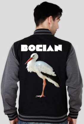bocian v2