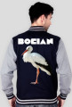 bocian v2