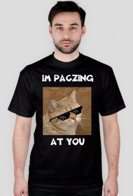 PACZING1