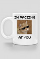 PACZING2