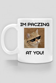 PACZING2