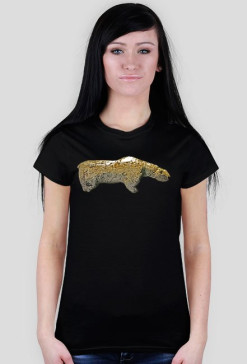 Vogelherdhoehle Bear