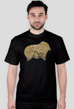 Vogelherdhoehle Bison