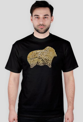 Vogelherdhoehle Bison