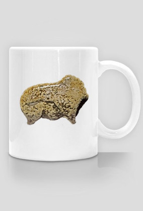 Vogelherdhoehle Bison Lefthanded