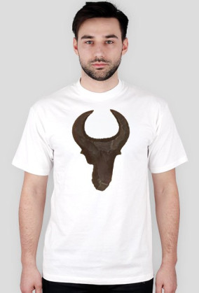 Nagada Flint Bull