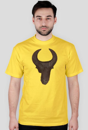 Nagada Flint Bull