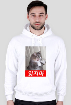 Hoodie Cat