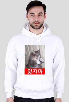 Hoodie Cat