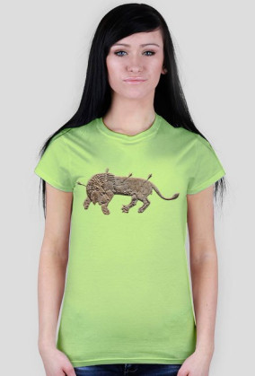Neo-Assyrian Lion Hunt