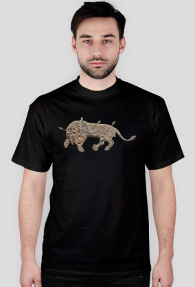 Neo-Assyrian Lion Hunt