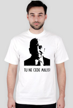tu ne cede malis