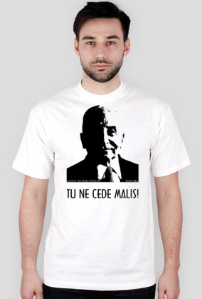 tu ne cede malis