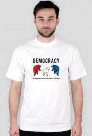 Democracy is for Idiots