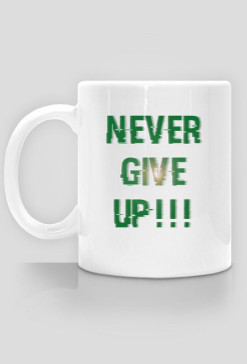 NEVER GIVE UP!!!