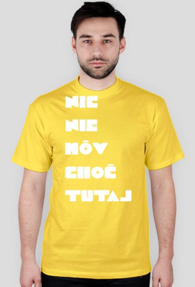 Xd