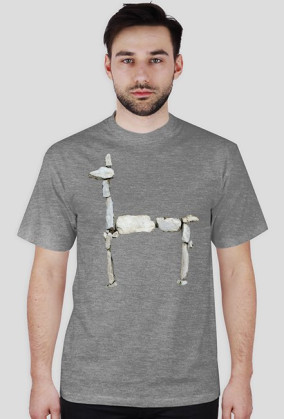 Choquequirao Llama