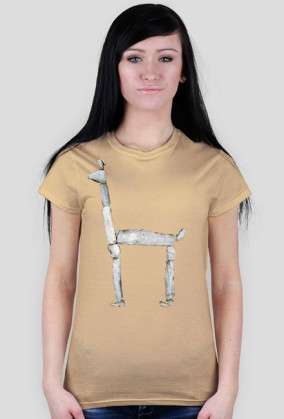 Choquequirao Llama