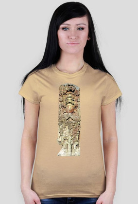 Copan Maya Stele