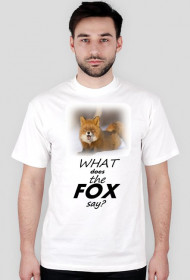 What does he fox say?