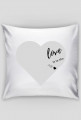 love is in the air pillow