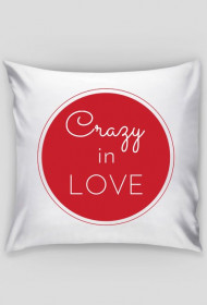 crazy in love pillow