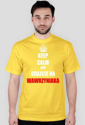 Wawrzyniak troll 2