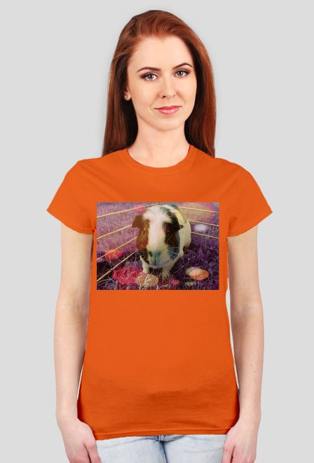 Guinea Pig