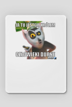 podkłatka
