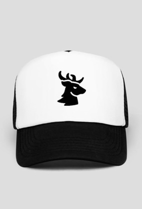 Logo T8B czapka