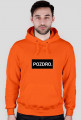 pozdro xx hoodie