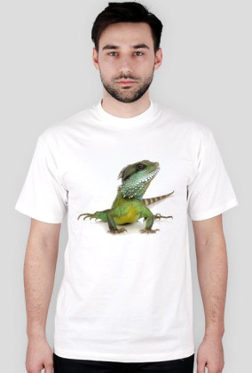 Lizard 05 M