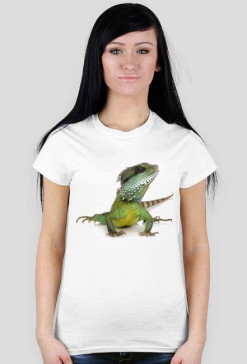 Lizard 05 F