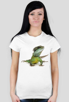 Lizard 05 F