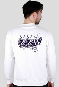 ZZW_3ab