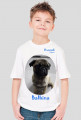 Mops Bazylland