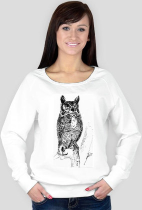 sowa 2
