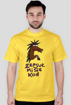 Popsuty koń