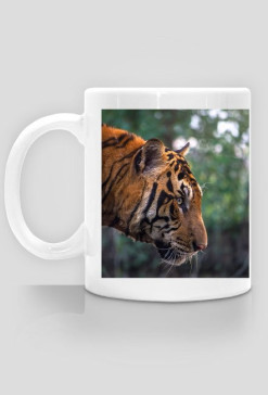 TYGRYS CUP