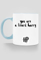 HP cup