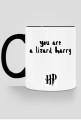 HP cup